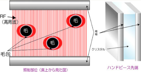 上から